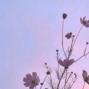 Meet your Posher, Lexie.doung